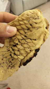 頭から？尾っぽから？