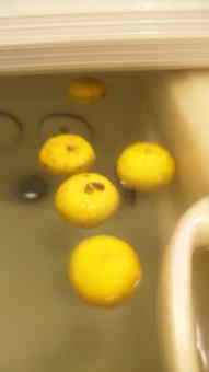 ゆず増えちゃった