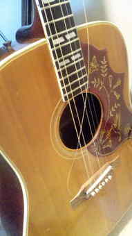 あっ、弦切れた。