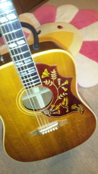 ゆずに出来ること