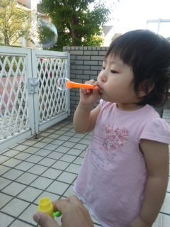 屋根まで飛んで