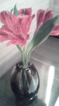 ハッピーバレンタイン！