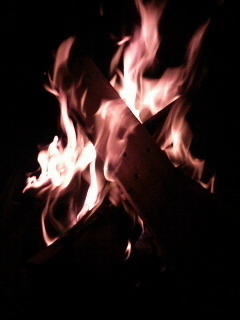 炎