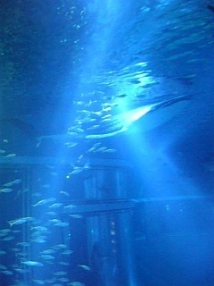 ＧＣ移動日に…