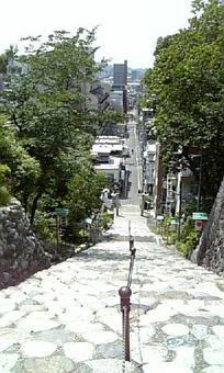 三度目の愛媛！