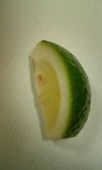 大分と言えばかぼす…