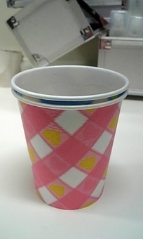 静岡で飲むお茶…うまい！