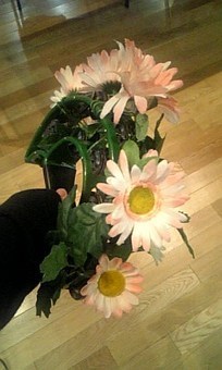 マイタンバリン！