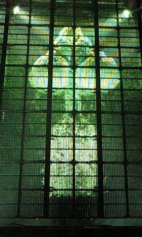 モッシーとの再会！