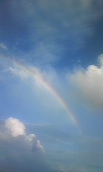 虹を見たよ。