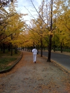 走り続けるぜ！