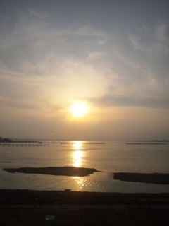 浜名湖、美しい。