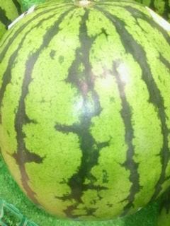 すいか