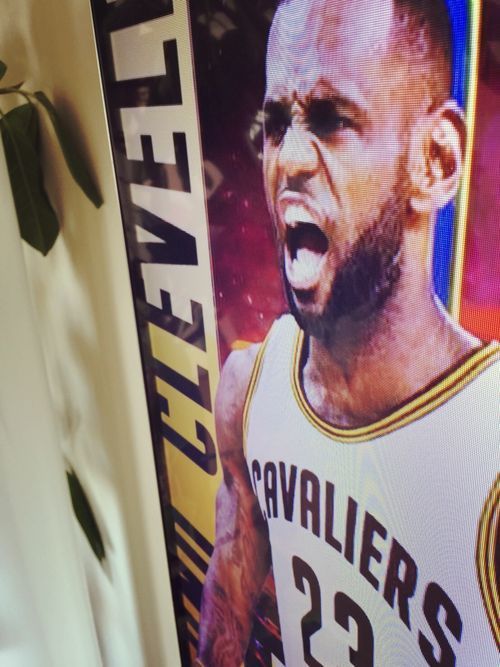 レブロン、惚れ直す