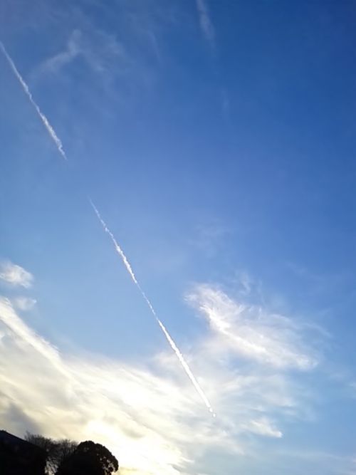 冬空