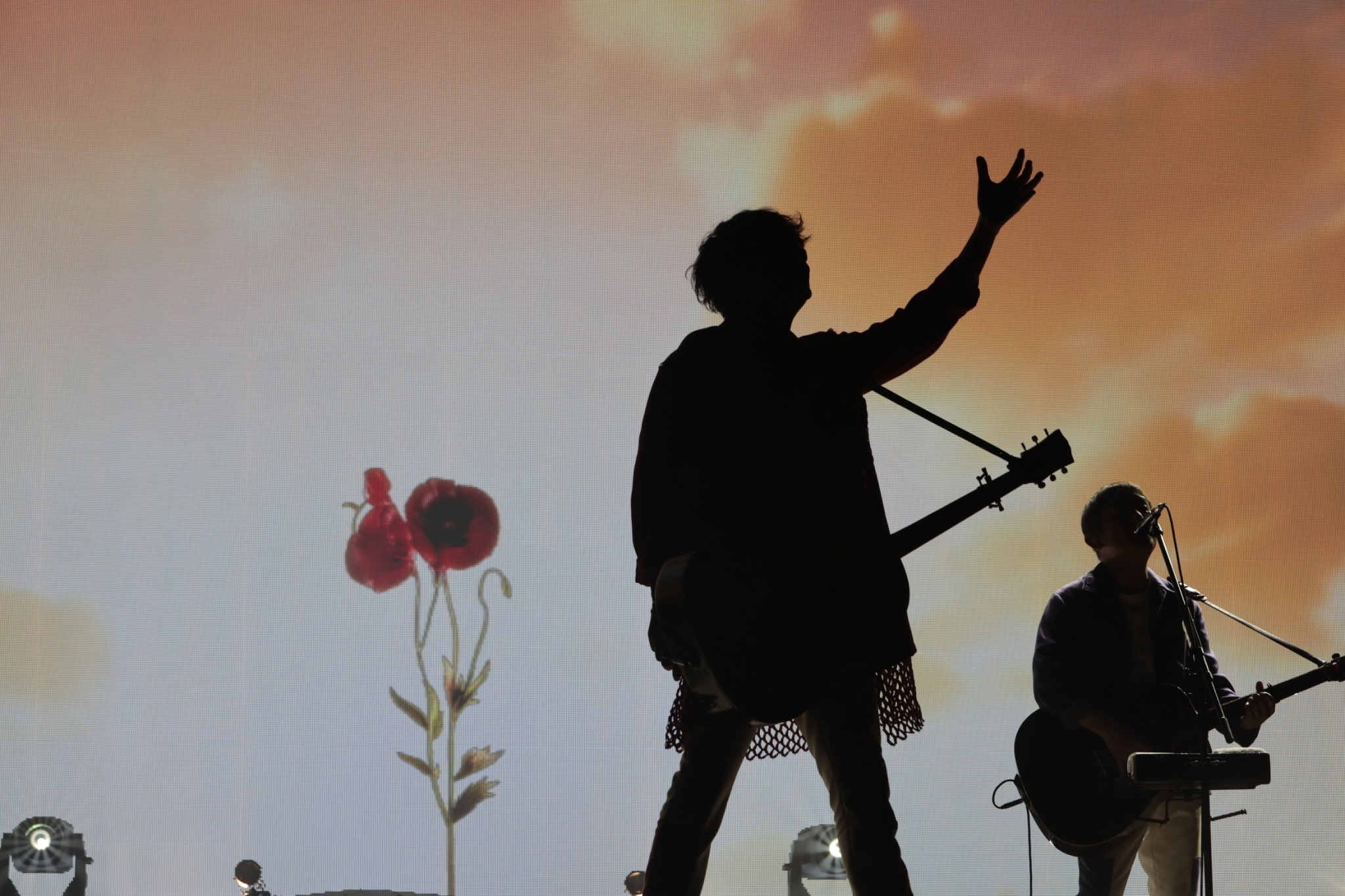 図鑑ファイナル