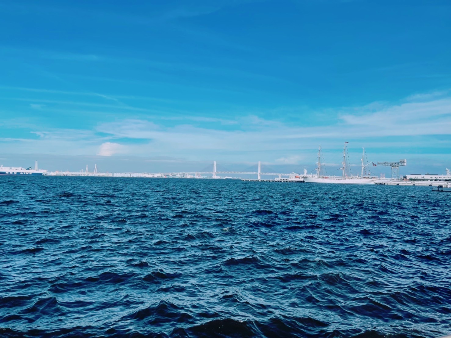 ゆずの輪25周年