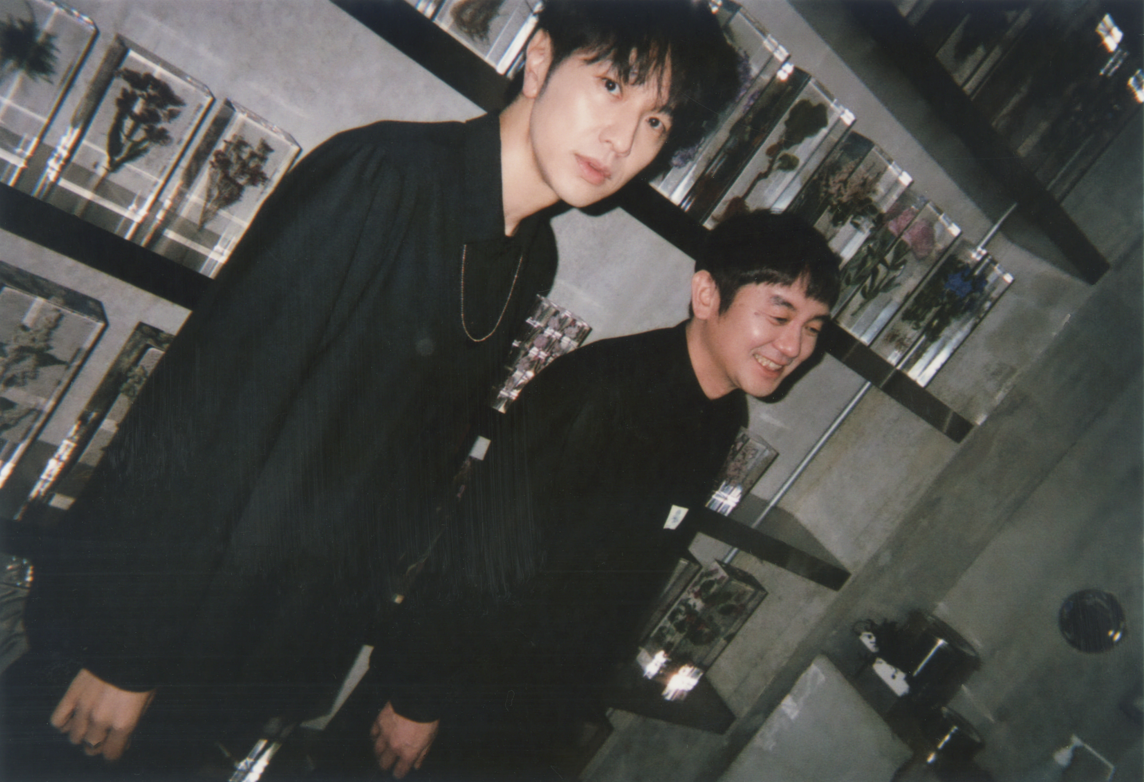 NEW ALBUM『図鑑』7月31日(水)発売決定！