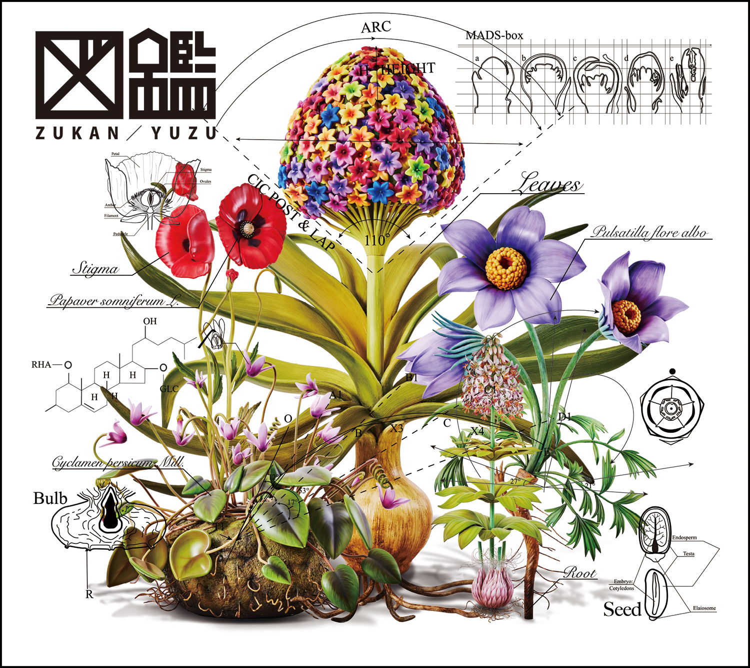 新曲『図鑑』が 日本生命CMソングに決定！本日よりTVCM全国放送開始